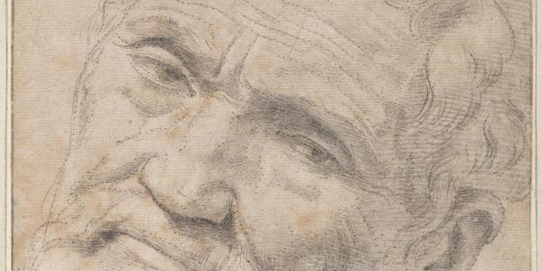 Three Lives of Michelangelo: Entrepreneur, Aristocrat, Octogenarian